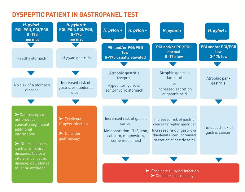 GastroPanel testi nedir nasıl yapılır?